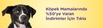 köpek ihtiyaçları